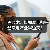 巴沙木：轻如鸿毛却撑起风电产业半边天？（图3）