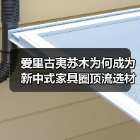 爱里古夷苏木为何成为新中式家具圈顶流选材？（图1）