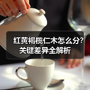 红黄褐榄仁木怎么分？关键差异全解析（图1）
