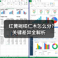 红黄褐榄仁木怎么分？关键差异全解析（图3）