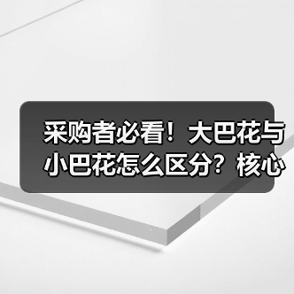 采购者必看！大巴花与小巴花怎么区分？核心差异全解析（图1）