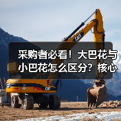 采购者必看！大巴花与小巴花怎么区分？核心差异全解析（图4）