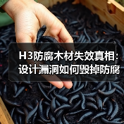 H3防腐木材失效真相：设计漏洞如何毁掉防腐等级？（图2）