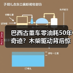 巴西古董车零油耗50年奇迹？木柴驱动背后惊人真相（图1）