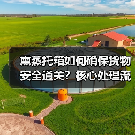 熏蒸托箱如何确保货物安全通关？核心处理流程全解析（图1）