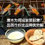 唐木为何成家装新宠？品质性价比应用优势解析（图3）