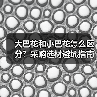 大巴花和小巴花怎么区分？采购选材避坑指南（图2）