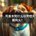 风车木凭什么抢黑檀大板风头？（图1）