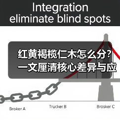 红黄褐榄仁木怎么分？一文厘清核心差异与应用边界（图3）