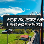 大巴花VS小巴花怎么选？采购必备的材质区别全解析（图1）