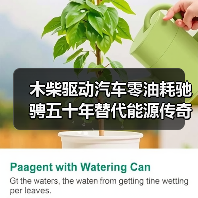 木柴驱动汽车零油耗驰骋五十年替代能源传奇（图3）