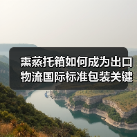 熏蒸托箱如何成为出口物流国际标准包装关键？（图4）
