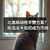 北美黑胡桃平替方案？斯温漆木如何成为市场新宠？（图1）