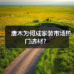 唐木为何成家装市场热门选材？（图2）