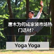 唐木为何成家装市场热门选材？（图3）