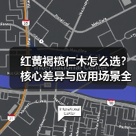 红黄褐榄仁木怎么选？核心差异与应用场景全解析（图2）