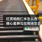 红黄褐榄仁木怎么选？核心差异与应用场景全解析（图4）