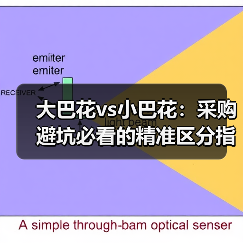 大巴花vs小巴花：采购避坑必看的精准区分指南（图4）