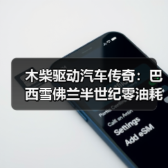 木柴驱动汽车传奇：巴西雪佛兰半世纪零油耗奇迹（图3）