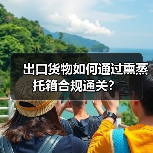 出口货物如何通过熏蒸托箱合规通关？（图4）