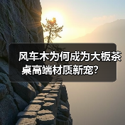 风车木为何成为大板茶桌高端材质新宠？（图1）