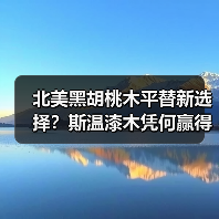 北美黑胡桃木平替新选择?斯温漆木凭何赢得市场青睐?(图1) 北美黑胡桃木平替新选择?斯温漆木凭何赢得市场青睐?(图1)
