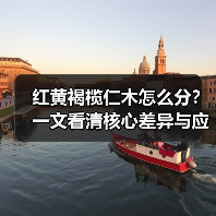 红黄褐榄仁木怎么分?一文看清核心差异与应用场景(图3) 红黄褐榄仁木怎么分?一文看清核心差异与应用场景(图3)