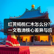 红黄褐榄仁木怎么分?一文看清核心差异与应用场景(图4) 红黄褐榄仁木怎么分?一文看清核心差异与应用场景(图4)