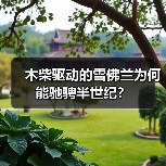木柴驱动的雪佛兰为何能驰骋半世纪?(图3) 木柴驱动的雪佛兰为何能驰骋半世纪?(图3)