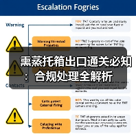 熏蒸托箱出口通关必知:合规处理全解析(图1) 熏蒸托箱出口通关必知:合规处理全解析(图1)