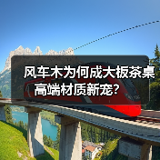 风车木为何成大板茶桌高端材质新宠?(图3) 风车木为何成大板茶桌高端材质新宠?(图3)