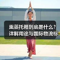 熏蒸托箱到底是什么?详解用途与国际物流标准(图1) 熏蒸托箱到底是什么?详解用途与国际物流标准(图1)