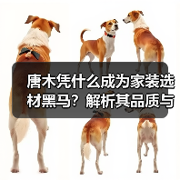 唐木凭什么成为家装选材黑马?解析其品质与性价比优势(图2) 唐木凭什么成为家装选材黑马?解析其品质与性价比优势(图2)