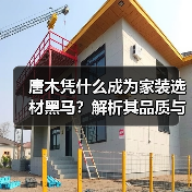 唐木凭什么成为家装选材黑马?解析其品质与性价比优势(图3) 唐木凭什么成为家装选材黑马?解析其品质与性价比优势(图3)