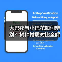 大巴花与小巴花如何辨别？树种材质对比全解析（图2）