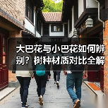 大巴花与小巴花如何辨别？树种材质对比全解析（图1）