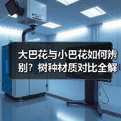 大巴花与小巴花如何辨别？树种材质对比全解析（图3）