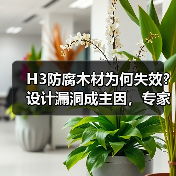 H3防腐木材为何失效?设计漏洞成主因,专家揭秘关键问题(图3) H3防腐木材为何失效?设计漏洞成主因,专家揭秘关键问题(图3)