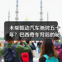 木柴驱动汽车驰骋五十年？巴西奇车背后的秘密（图4）