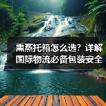 熏蒸托箱怎么选?详解国际物流必备包装安全方案(图4) 熏蒸托箱怎么选?详解国际物流必备包装安全方案(图4)