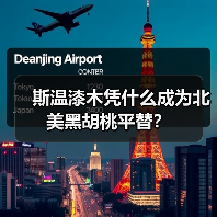 斯温漆木凭什么成为北美黑胡桃平替?(图2) 斯温漆木凭什么成为北美黑胡桃平替?(图2)