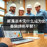 斯温漆木凭什么成为北美黑胡桃平替?(图4) 斯温漆木凭什么成为北美黑胡桃平替?(图4)