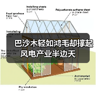 巴沙木轻如鸿毛却撑起风电产业半边天(图3) 巴沙木轻如鸿毛却撑起风电产业半边天(图3)