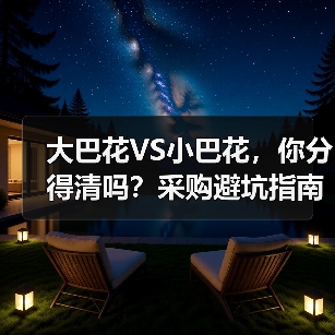 大巴花VS小巴花,你分得清吗?采购避坑指南(图1) 大巴花VS小巴花,你分得清吗?采购避坑指南(图1)