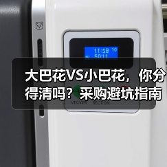 大巴花VS小巴花,你分得清吗?采购避坑指南(图3) 大巴花VS小巴花,你分得清吗?采购避坑指南(图3)