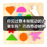 你见过靠木柴驱动的古董车吗？巴西奇迹驰骋半世纪（图2）