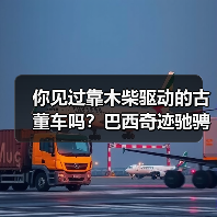 你见过靠木柴驱动的古董车吗？巴西奇迹驰骋半世纪（图3）