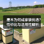 唐木为何成家装优选？性价比与适用性解析（图4）