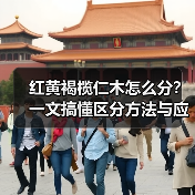 红黄褐榄仁木怎么分?一文搞懂区分方法与应用指南(图1) 红黄褐榄仁木怎么分?一文搞懂区分方法与应用指南(图1)