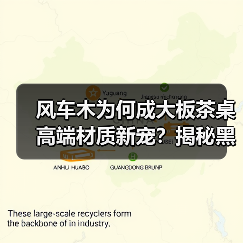 风车木为何成大板茶桌高端材质新宠？揭秘黑檀平替真相（图1）